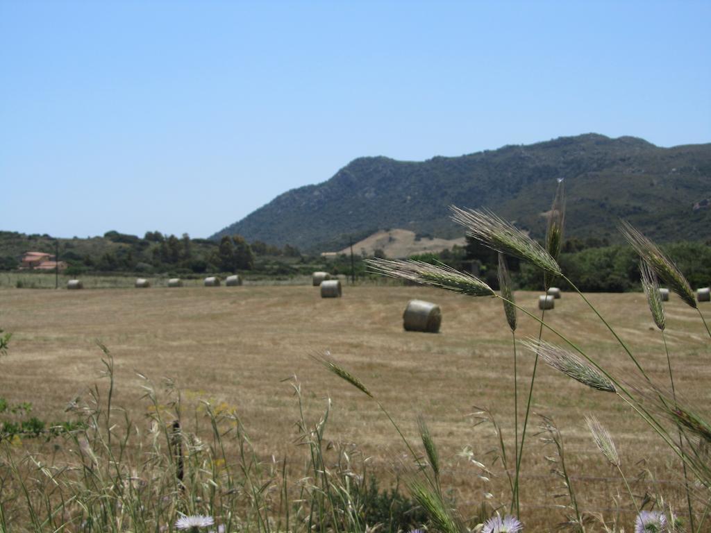 Agriturismo Sa Tiria 툴라다 외부 사진