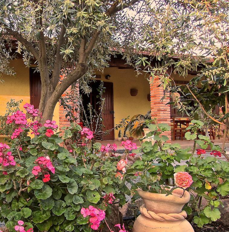 Agriturismo Sa Tiria 툴라다 외부 사진