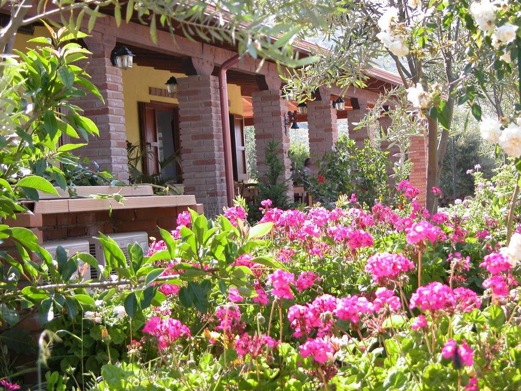 Agriturismo Sa Tiria 툴라다 외부 사진